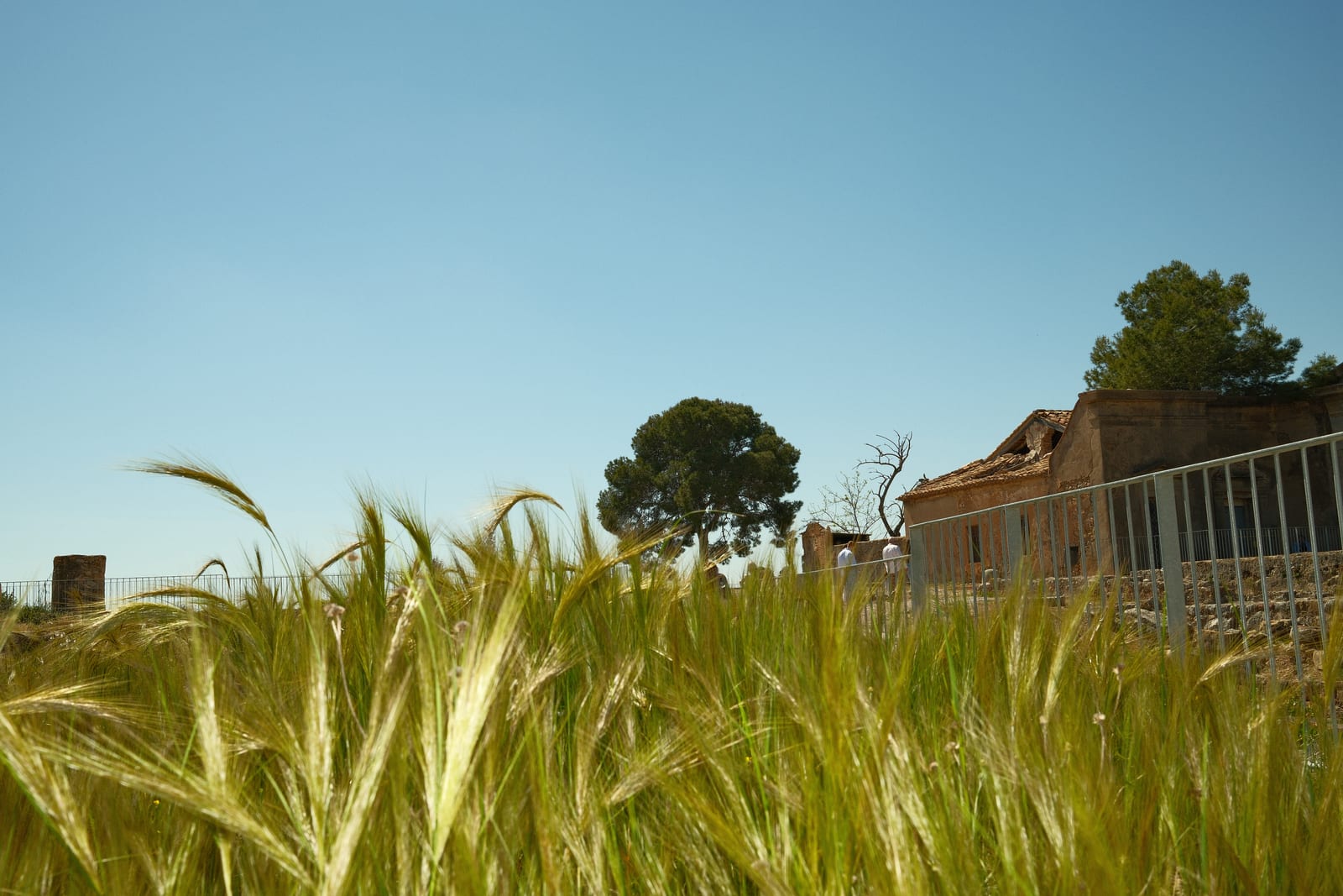 Sagunto