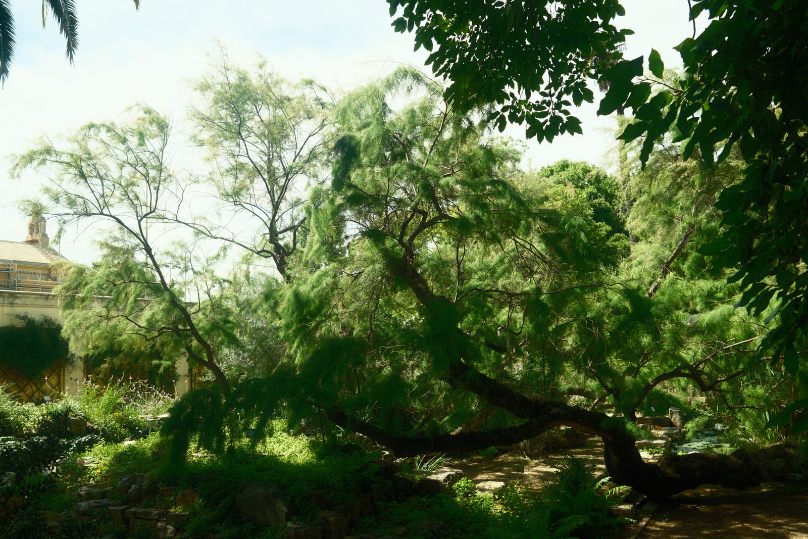 Jardin Botanica