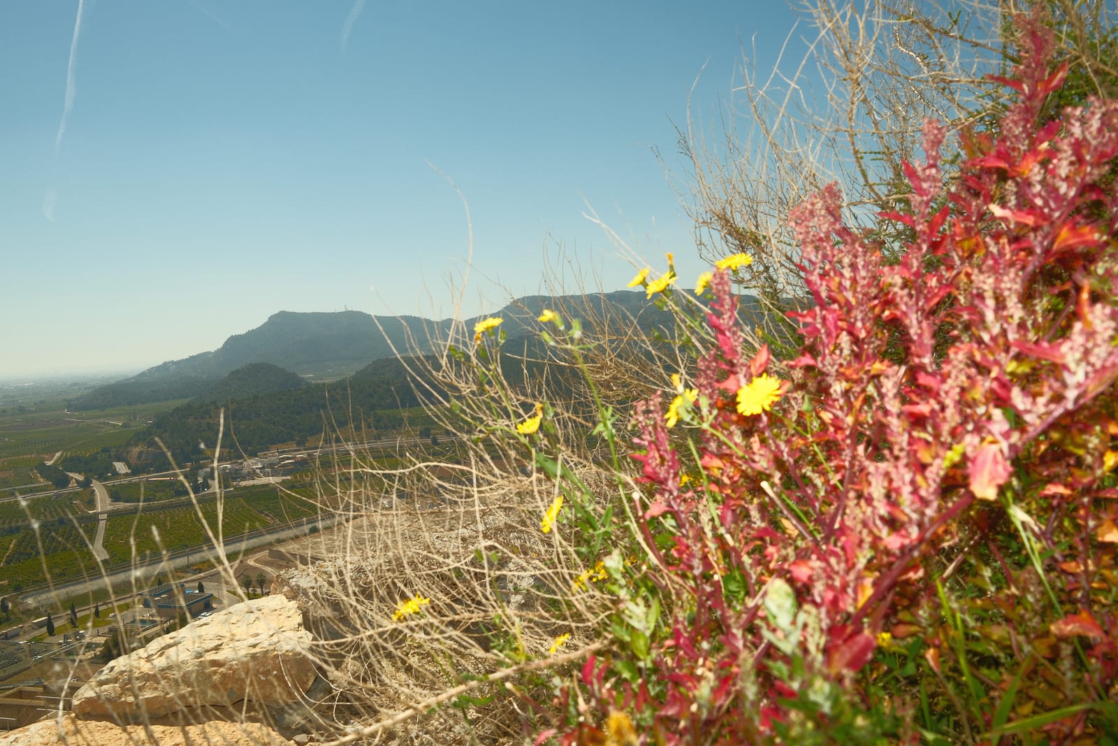 Sagunto