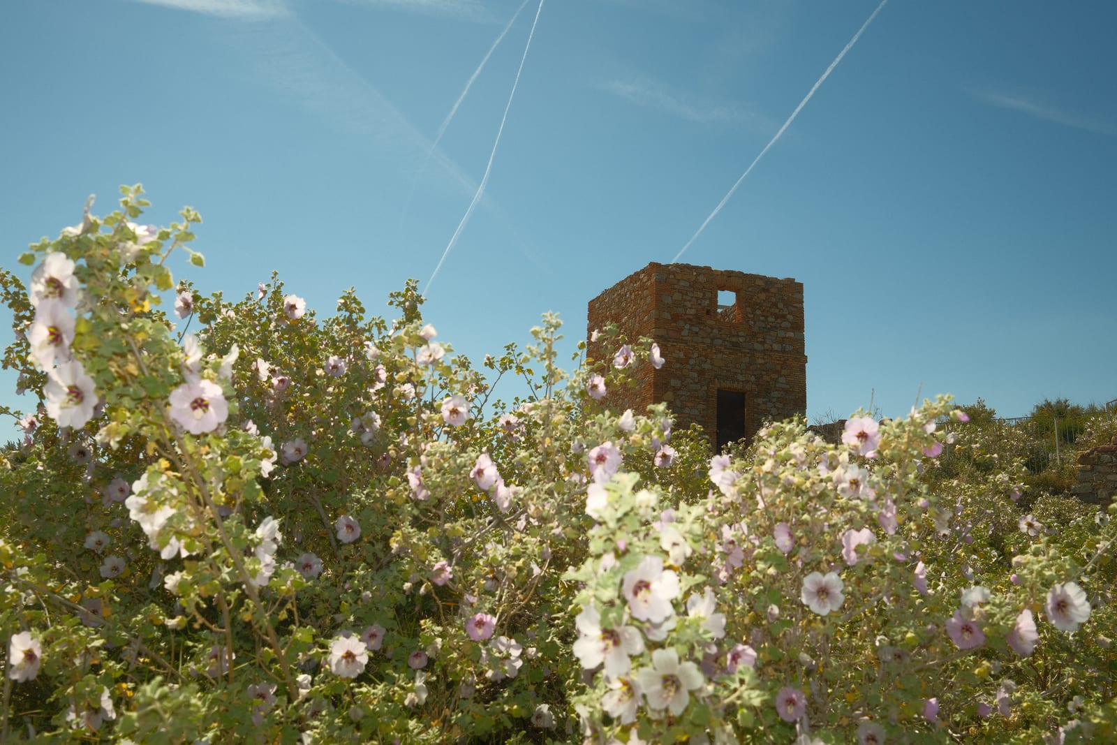Sagunto