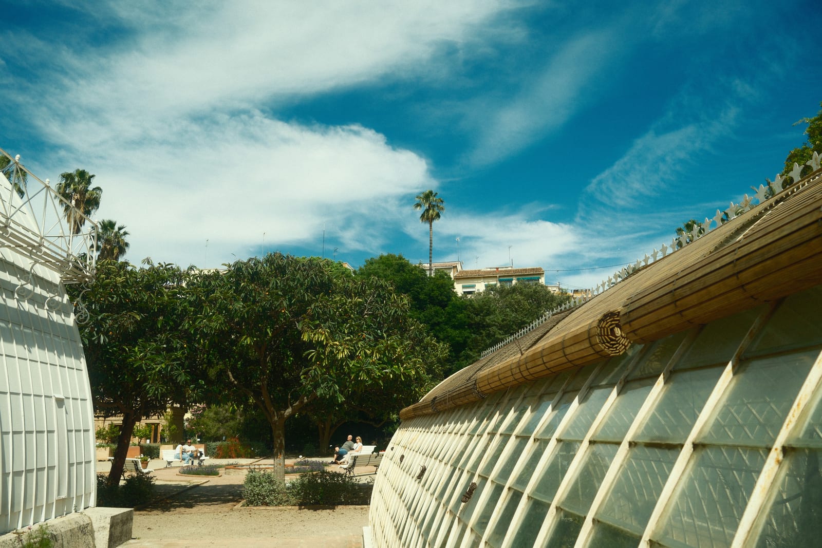 Jardin Botanica