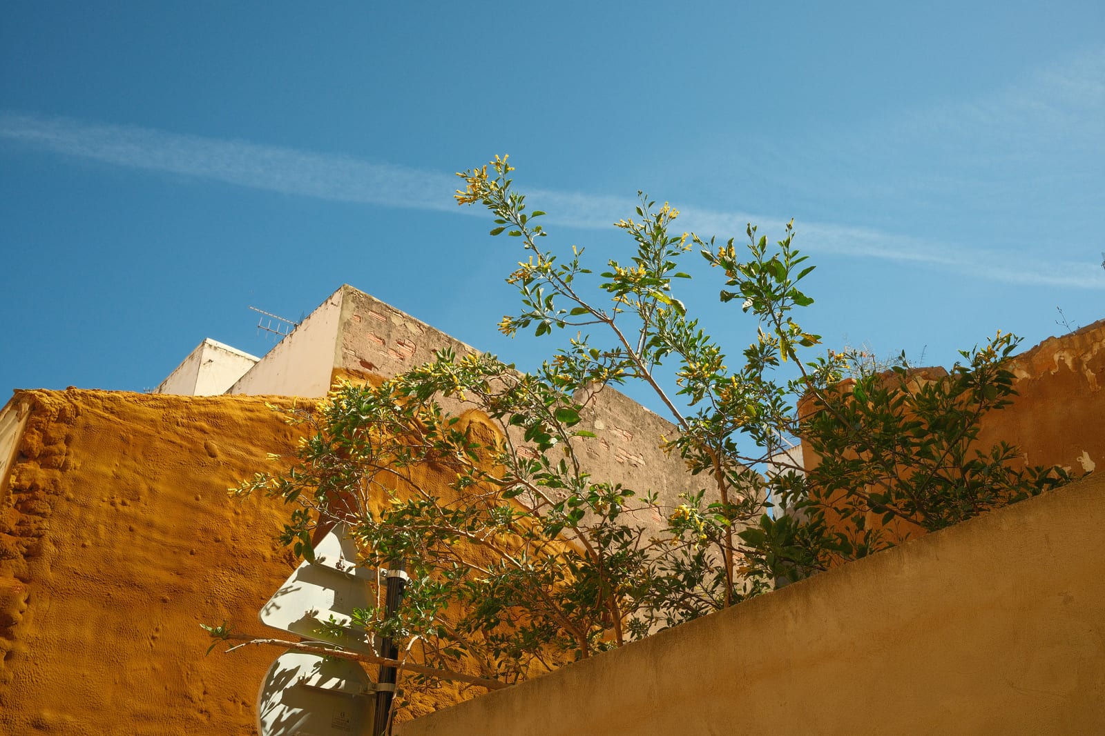 Sagunto